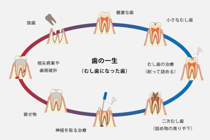 甲府市の歯医者、降矢歯科クリニック 歯科・矯正