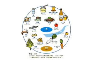 甲府市の歯医者、降矢歯科クリニック 歯科・矯正で歯磨き後のうがいは1回でいい？フッ素の作用を活かすための正しい方法を解説